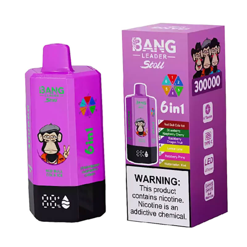 Bang Leader Stoll 300000 Puffs 6in1 Disposable Vape