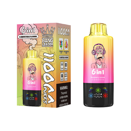 Bang Leader 110000 Puffs 6in1 Disposable Vape