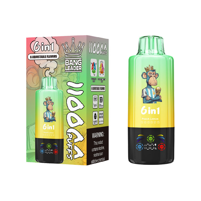 Bang Leader 110000 Puffs 6in1 Disposable Vape
