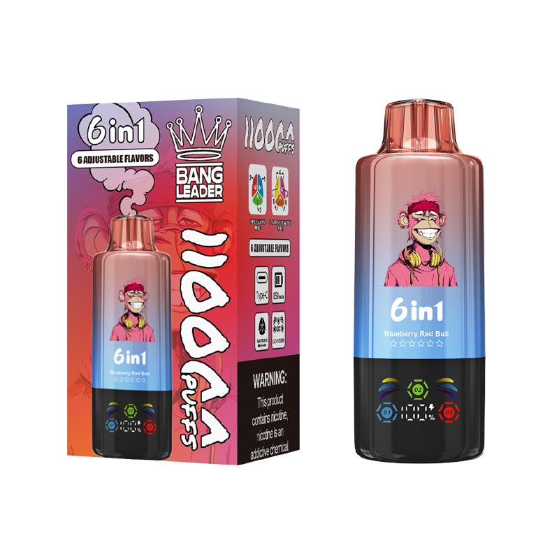 Bang Leader 110000 Puffs 6in1 Disposable Vape